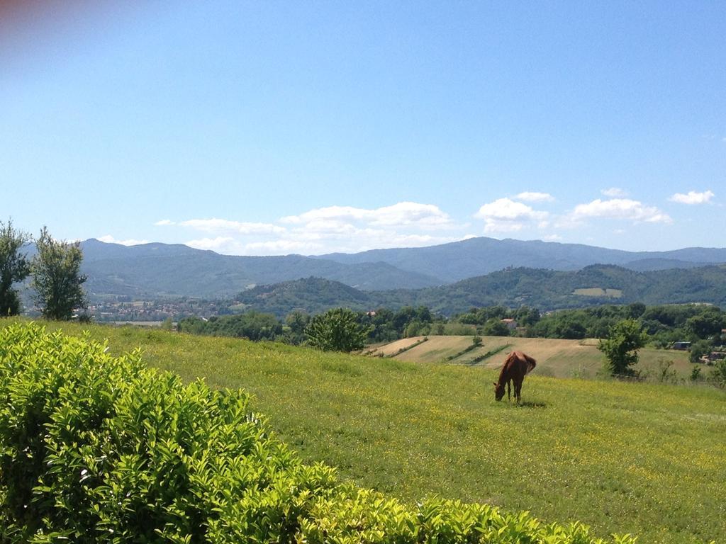 "Villa Bizzi" Monte Castelli Zewnętrze zdjęcie